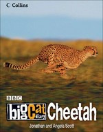 Cheetah : big cat diary / Jonathan and Angela Scott.