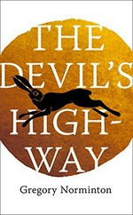 The devil's highway / Gregory Norminton.