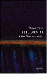 The brain : a very short introduction / Michael O'Shea.