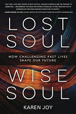 Lost soul, wise soul : how challenging past lives shape our future / Karen Joy.