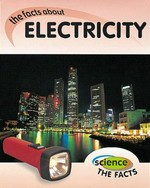 The facts about electricity / Rebecca Hunter.