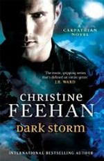 Dark storm / Christine Feehan.