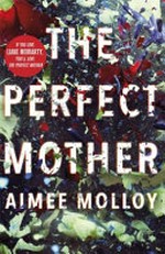 The perfect mother / Aimee Molloy.
