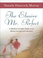 The elusive Mr. Perfect : a modern couple finds love along unexpected avenues / Tamela Hancock Murray.