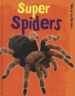 Super spiders / Charlotte Guillain.