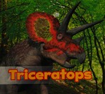 Triceratops / Daniel Nunn.