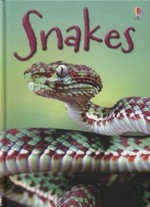 Snakes / James Maclaine ; illustrated by Paul Parker and Becka Moor.