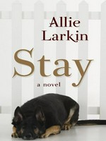 Stay / Allie Larkin.