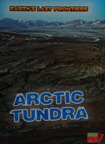 Arctic tundra / Ellen Labrecque.