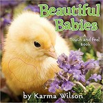 Beautiful babies : a touch-and-feel book / by Karma Wilson.