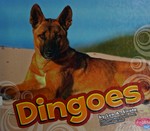 Dingoes / by Lyn A. Sirota.
