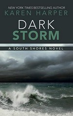 Dark storm / Karen Harper.