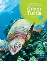 Green turtle / Greg Pyers.