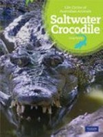 Saltwater crocodile / Greg Pyers.