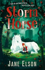 Storm horse / Jane Elson.