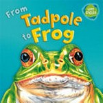From tadpole to frog / written by David Stewart ; illustrated by Carolyn Scrace ; created & designed by David Salariya.