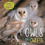 Owls and owlets / by Annabelle Lynch.