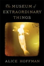 The Museum of Extraordinary Things : a novel / Alice Hoffman.