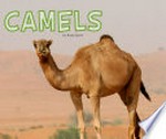 Camels / by Rose Davin.