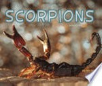 Scorpions / by Rose Davin.