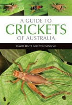 A guide to crickets of Australia / David Rentz and You Ning Su.