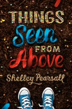 Things seen from above / Shelley Pearsall ; illustrated by Xingye Jin.