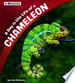 A day in the life of a chameleon : a 4D book / by Lisa J. Amstutz ; consultant, Robert T. Mason, Professor of Integrative Biology, J.C. Braly Curator of Vertebrates, Oregon State University.
