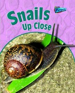 Snails up close / Greg Pyers.
