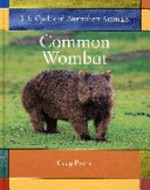 Common wombat / Greg Pyers.