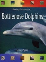 Bottlenose dolphins / Greg Pyers.