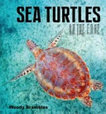 Sea turtles : on the edge / Woody Brambles.