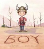 Boy / Phil Cummings ; illustrated by Shane Devries.