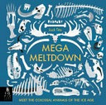 Mega meltdown / written & illustrated by Jack Tite.
