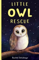 Little owl rescue / Rachel Delahaye ; illustrations, Jo Anne Davies.