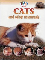 Cats and other mammals / Sally Morgan.