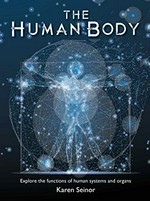 The human body : explore the functions of human systems and organs / Karen Seinor.