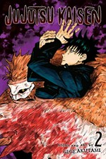 Jujutsu kaisen : fearsome womb story and art by Gege Akutami ; translation, Stefan Koza ; touch-up & lettering Snir Aharon. 2 /