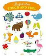 My first colours touch and feel / Illustrated by Virginie Graire.