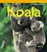 Koala / Rod Theodorou.