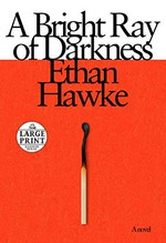A bright ray of darkness / Ethan Hawke.