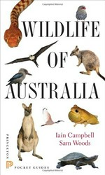 Wildlife of Australia / Iain Campbell and Sam Woods.