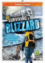 Surviving a blizzard / by Vicki C. Hayes.