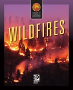 Wildfires / writer, Anne Rooney ; illustrator, Stefan Chabluk.