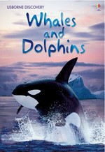 Whales and dolphins / Susanna Davidson ; illustrated by John Woodcock.