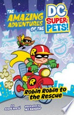 Robin Robin to the rescue / by Steve Korte ; illustrated by Art Baltazar.