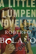 A little lumpen novelita / Roberto Bolano ; translated by Natasha Wimmer.