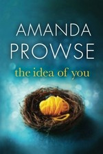 The idea of you / Amanda Prowse.