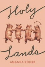 Holy lands : a novel / Amanda Sthers.