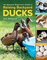 An absolute beginner's guide to raising backyard ducks / Gail Damerow.