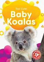Baby koalas / by Rebecca Sabelko.